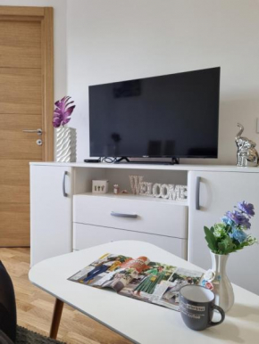 Apartman S54